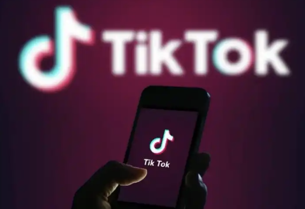 TikTok Shop即将在法国启动-西邮物流